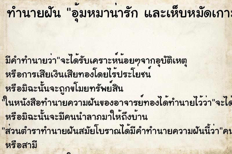 ทำนายฝันทำนายฝันอุ้มหมาน่ารักและเห็บหมัดเกาะเต็มเลย
